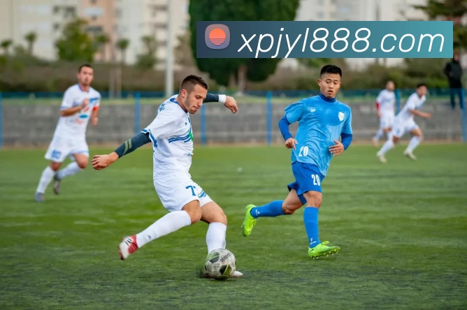 新葡京娱乐平台生态图