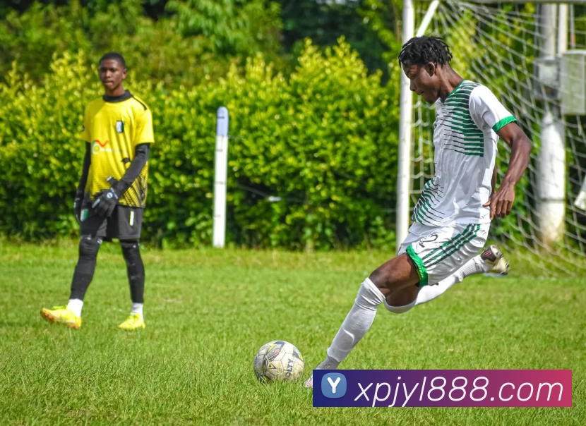 新葡京娱乐全站App